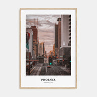 Phoenix Portrait Color No 3 Poster