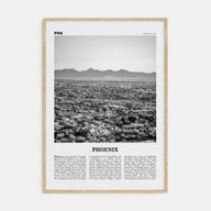 Phoenix Travel B&W No 2 Poster
