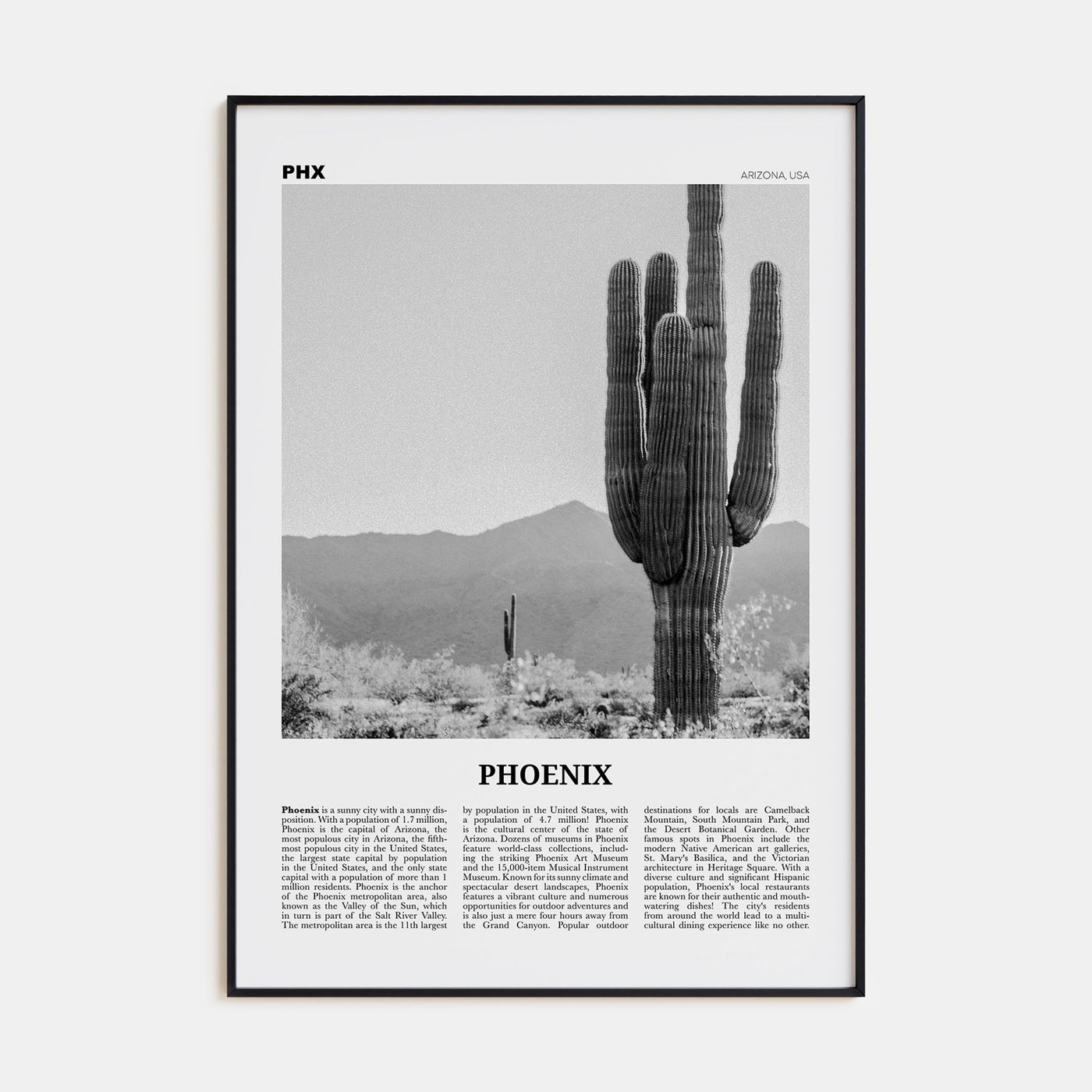 Phoenix Travel B&W No 3 Poster