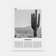 Phoenix Travel B&W No 3 Poster