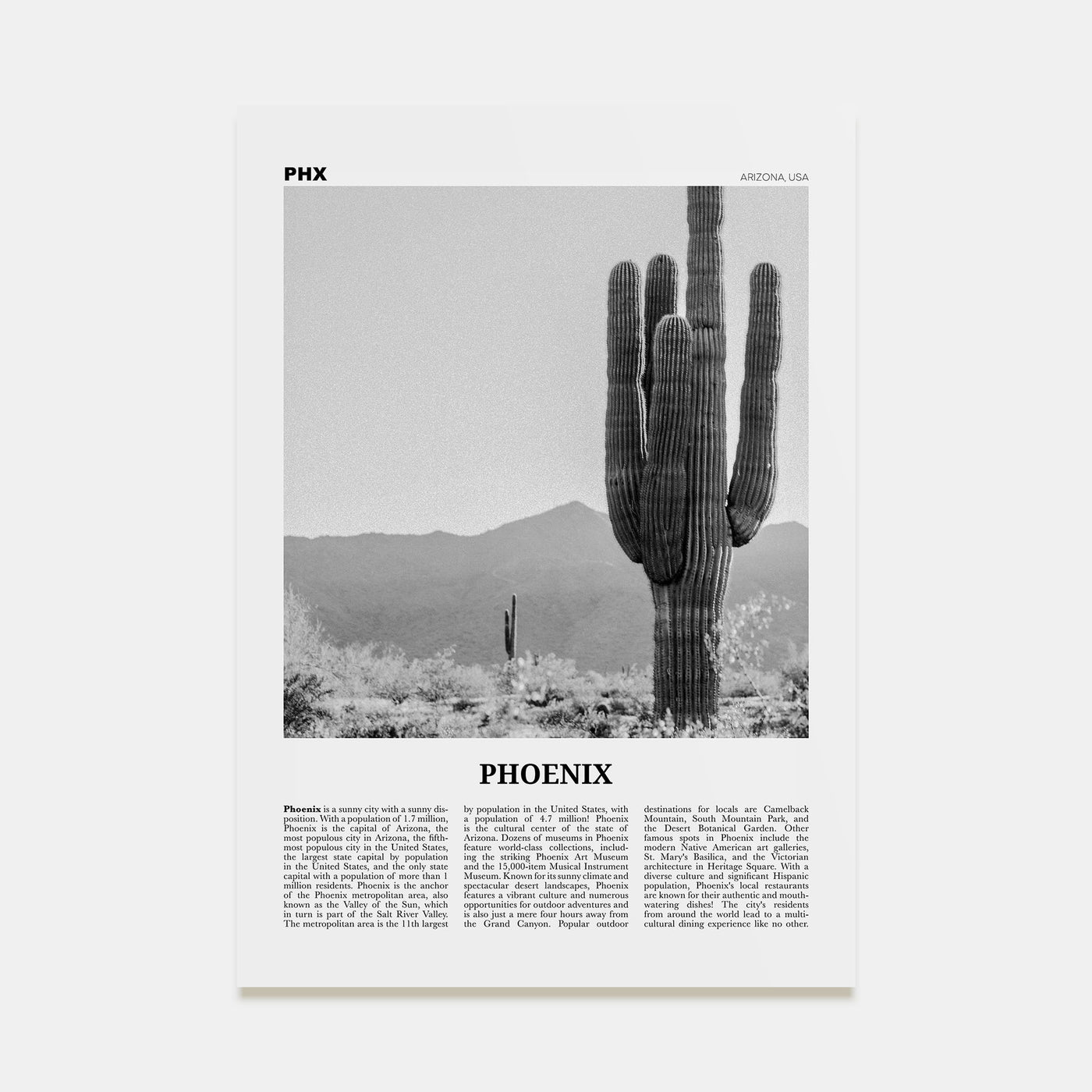 Phoenix Travel B&W No 3 Poster