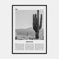 Phoenix Travel B&W No 3 Poster