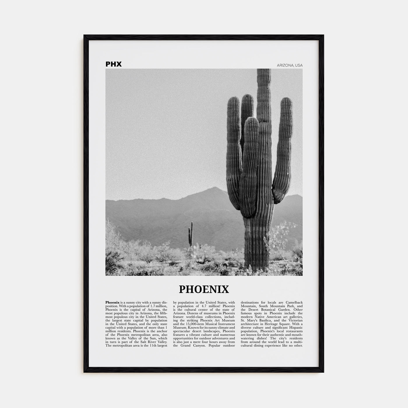 Phoenix Travel B&W No 3 Poster