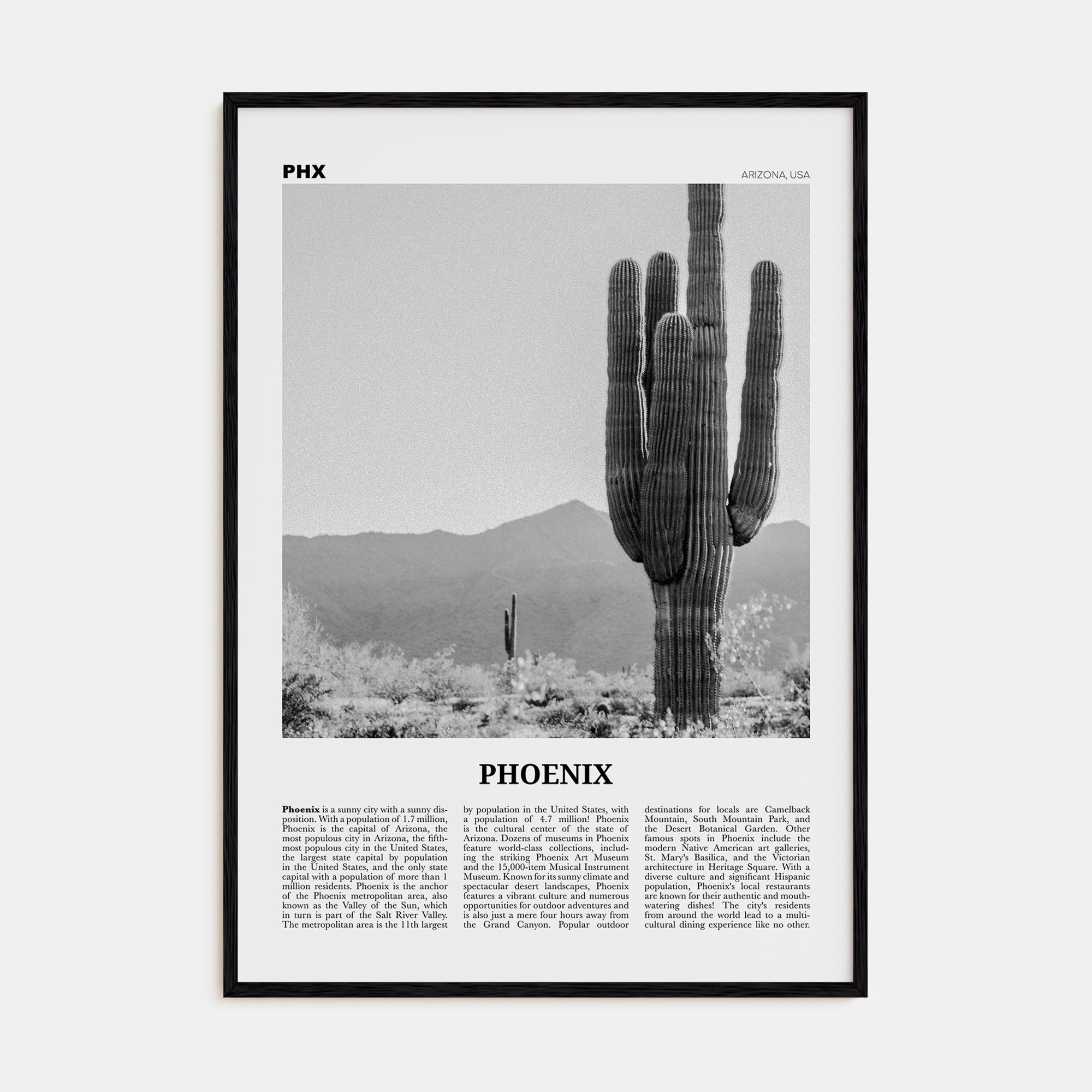 Phoenix Travel B&W No 3 Poster