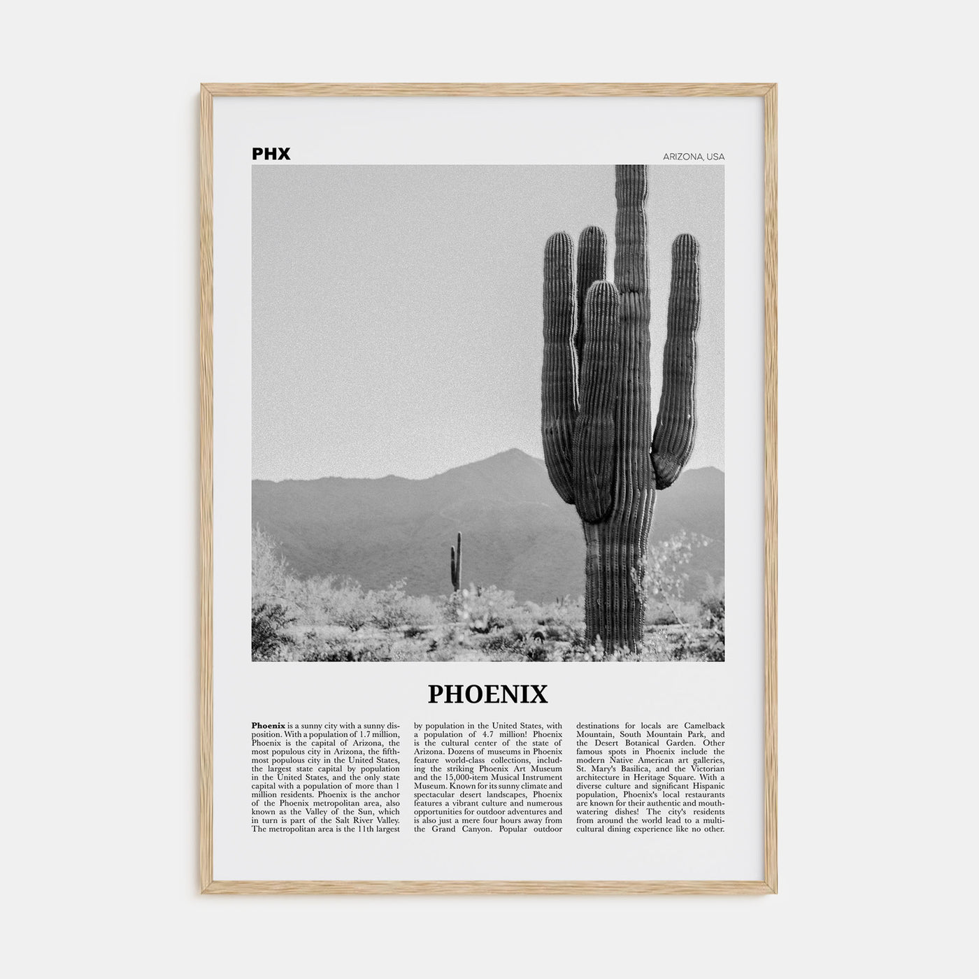 Phoenix Travel B&W No 3 Poster