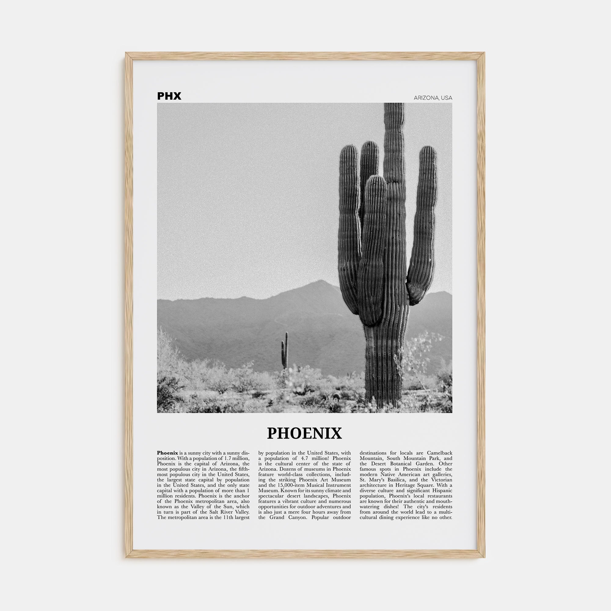 Phoenix Travel B&W No 3 Poster