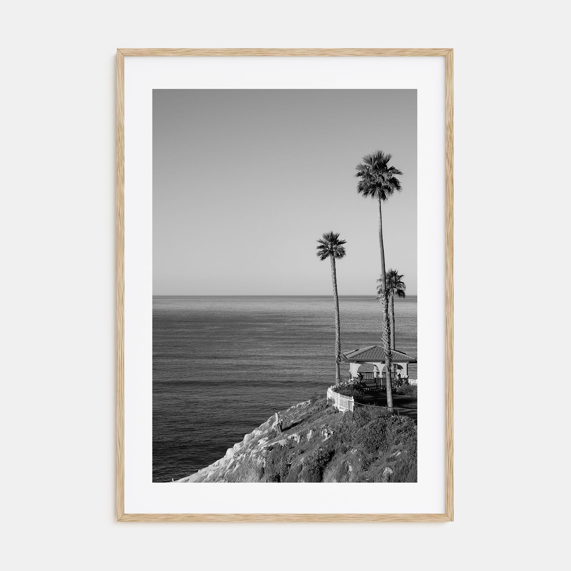 Pismo Beach Photo B&W Poster