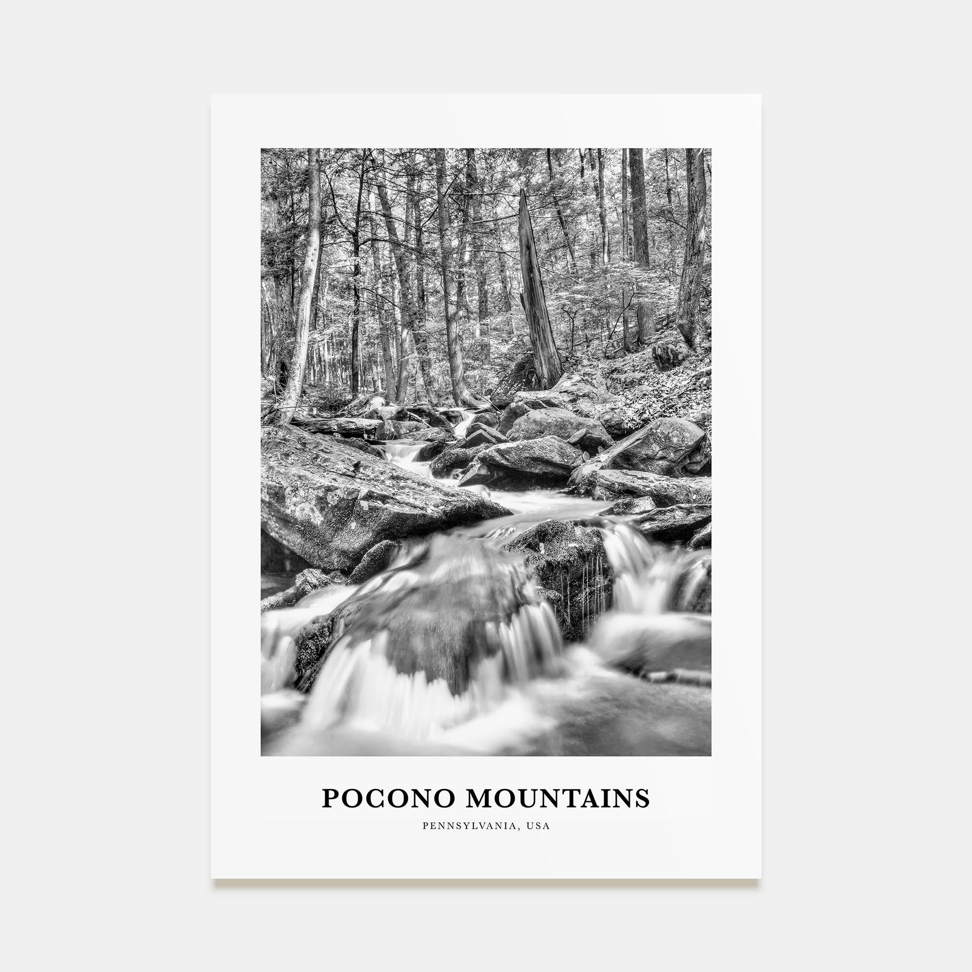 Pocono Mountains Portrait B&W Poster