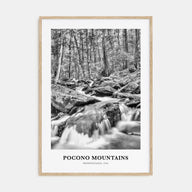 Pocono Mountains Portrait B&W Poster