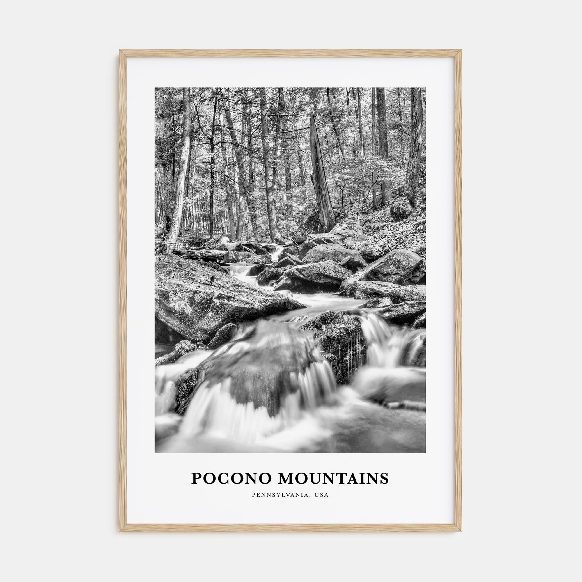 Pocono Mountains Portrait B&W Poster