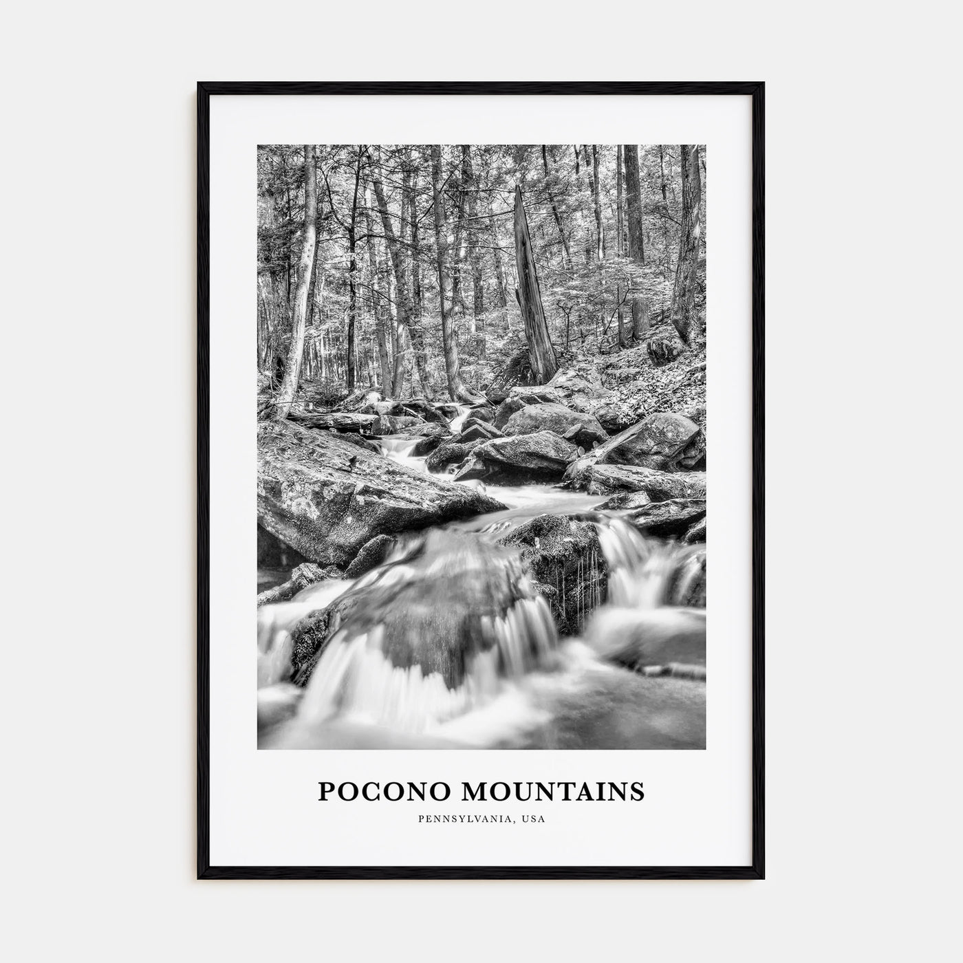 Pocono Mountains Portrait B&W Poster