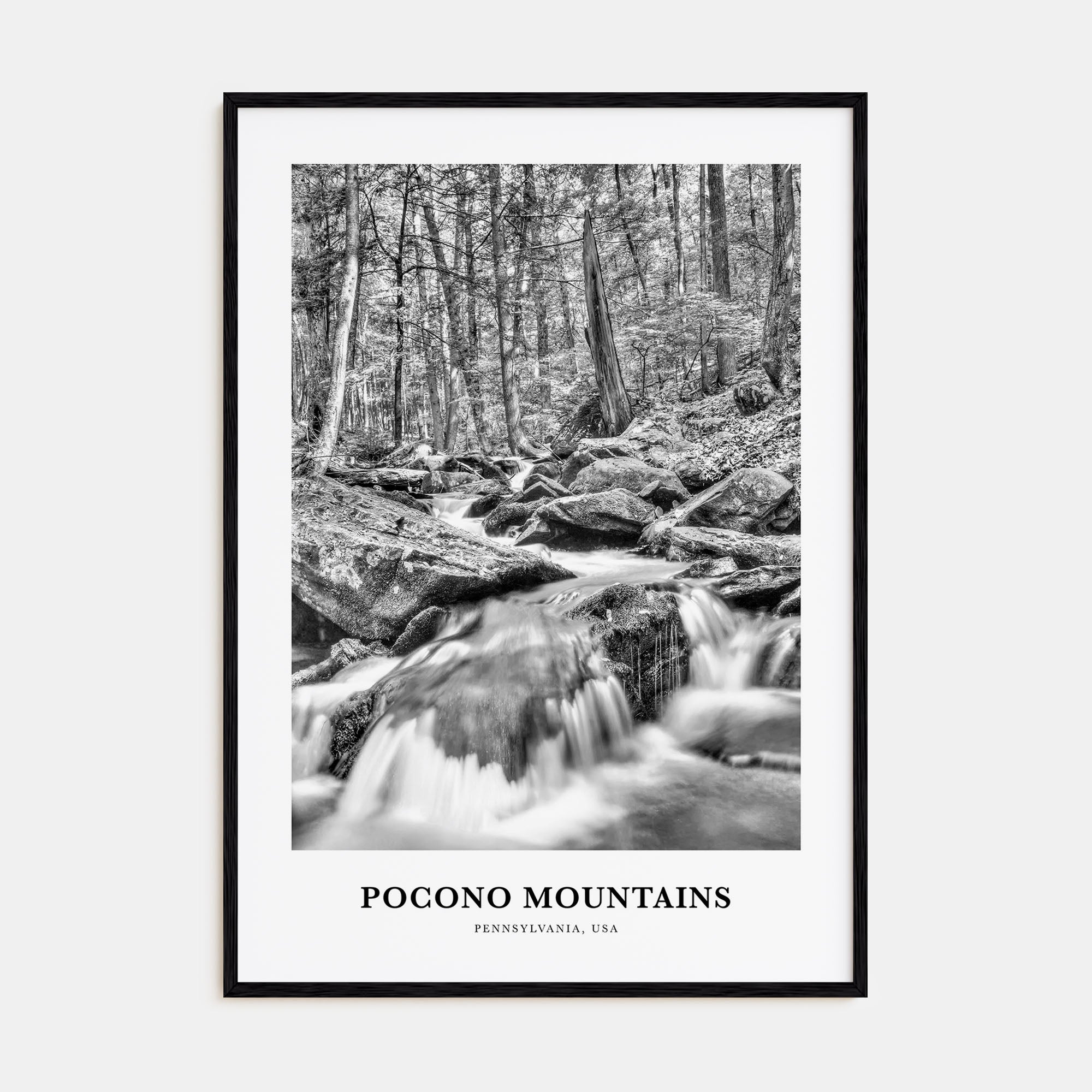 Pocono Mountains Portrait B&W Poster