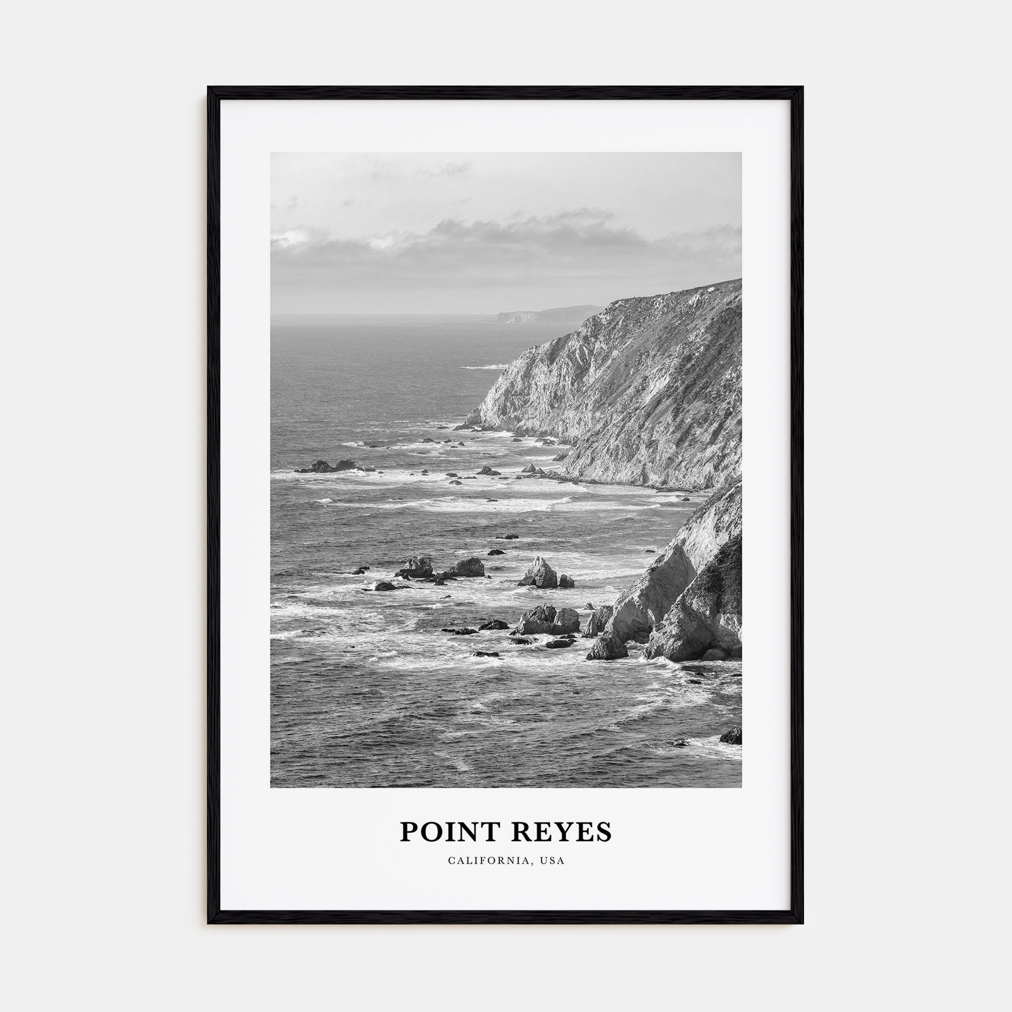 Point Reyes Portrait B&W Poster