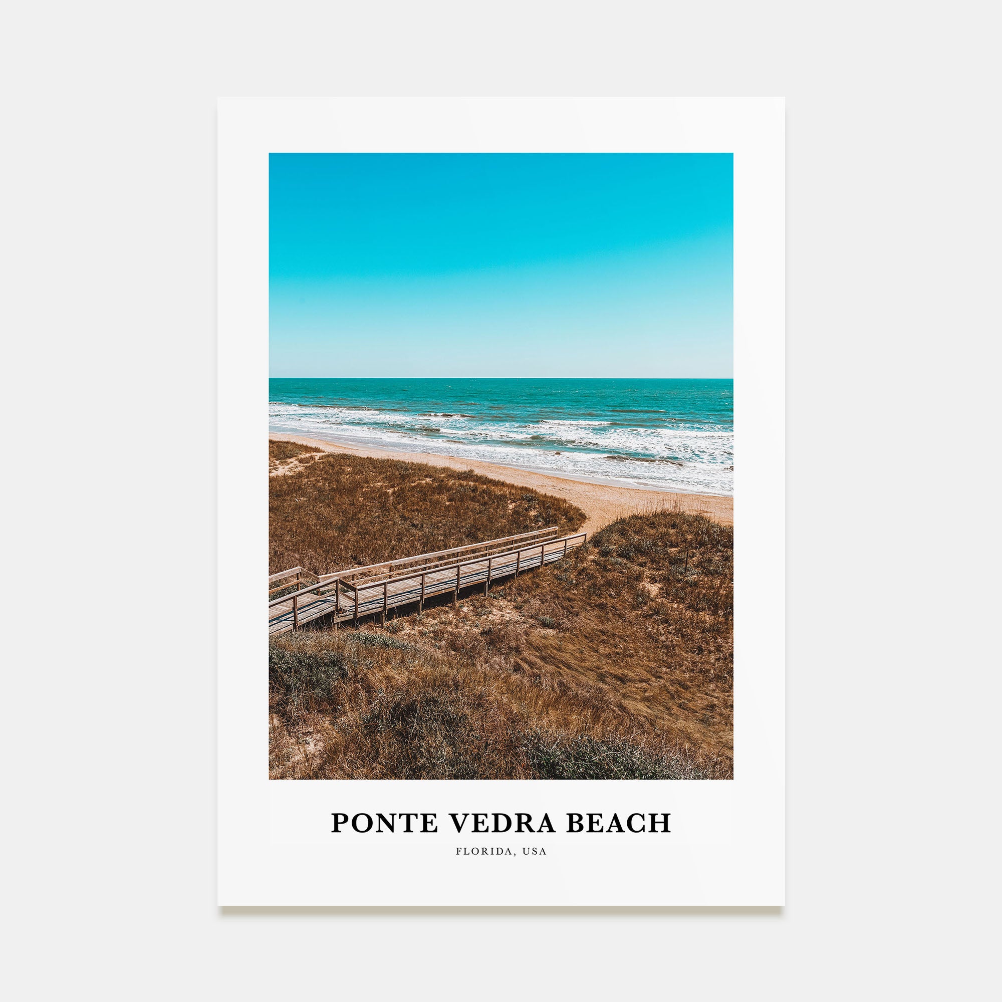 Ponte Vedra Beach Portrait Color Poster