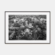 Princeton Landscape B&W Poster