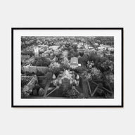 Princeton Landscape B&W Poster