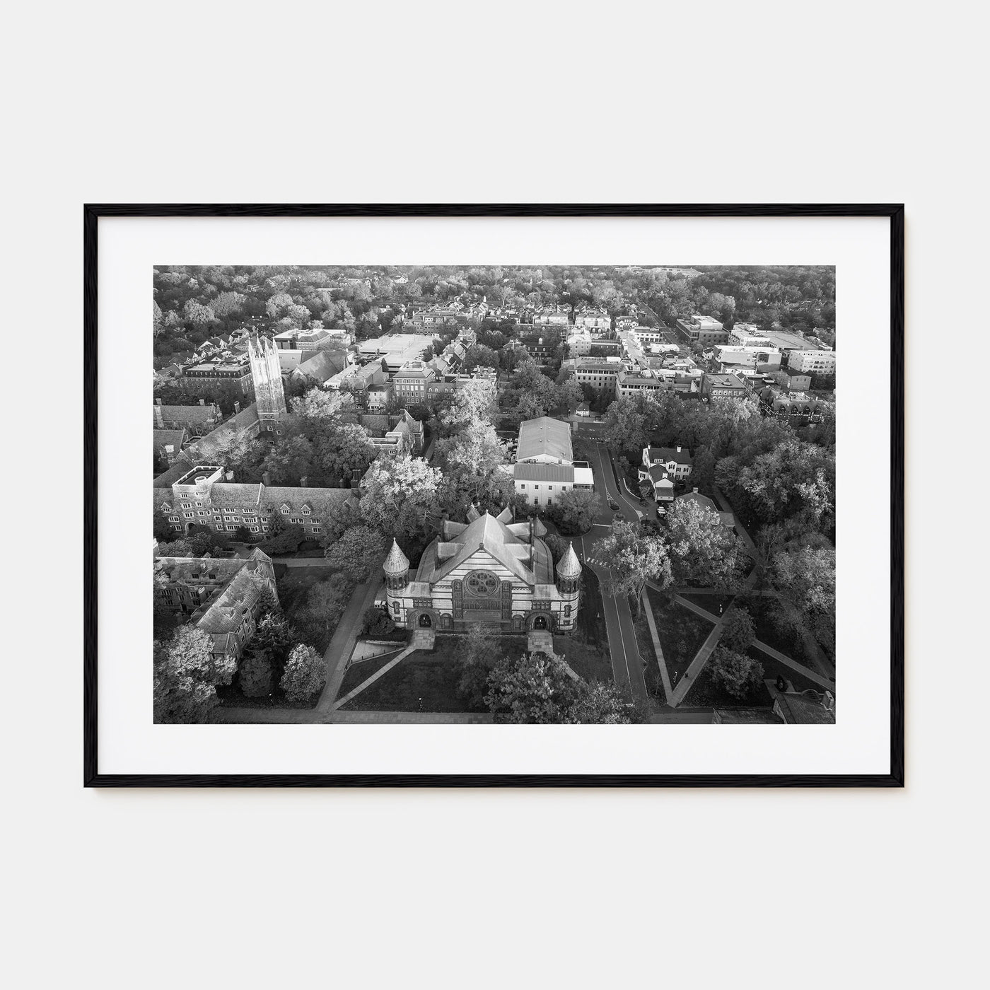 Princeton Landscape B&W Poster