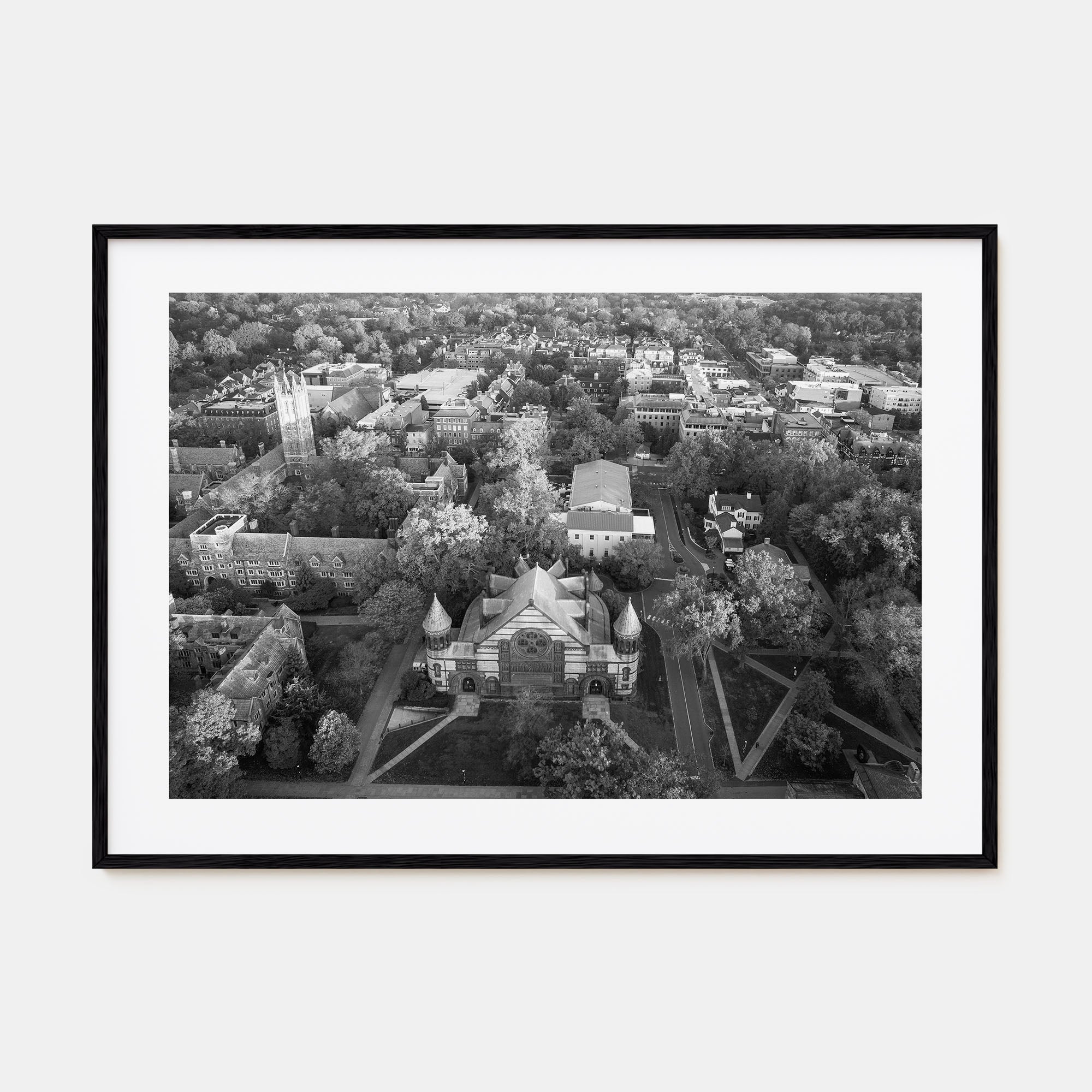 Princeton Landscape B&W Poster