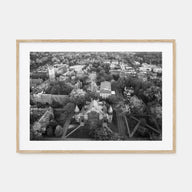 Princeton Landscape B&W Poster