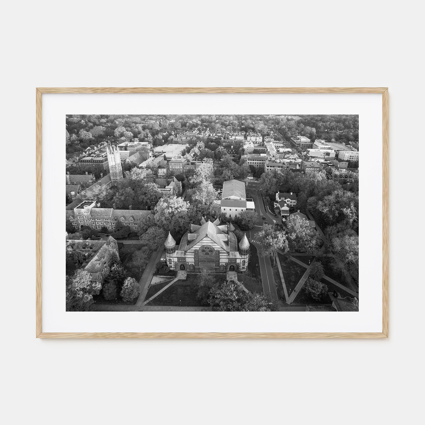 Princeton Landscape B&W Poster