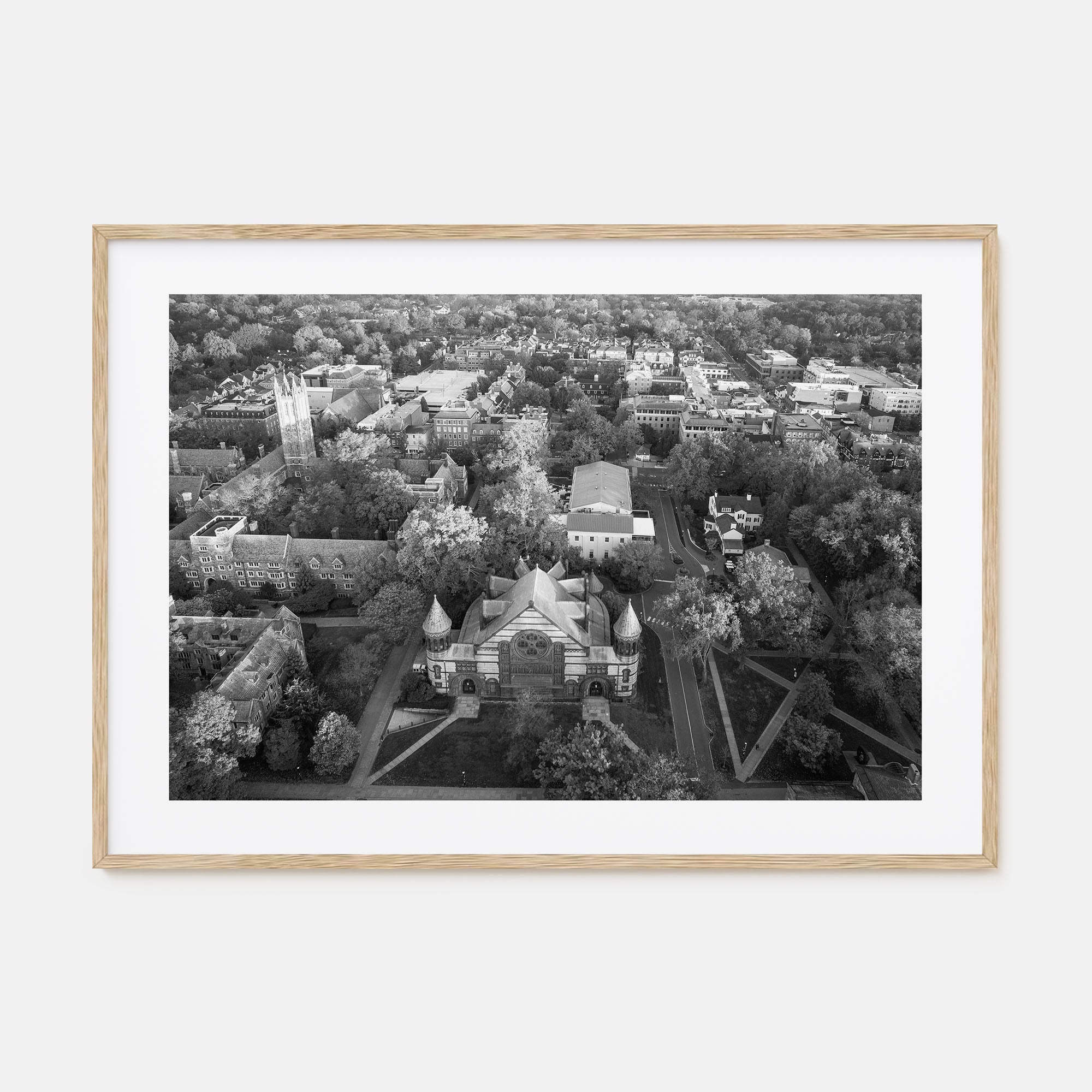Princeton Landscape B&W Poster