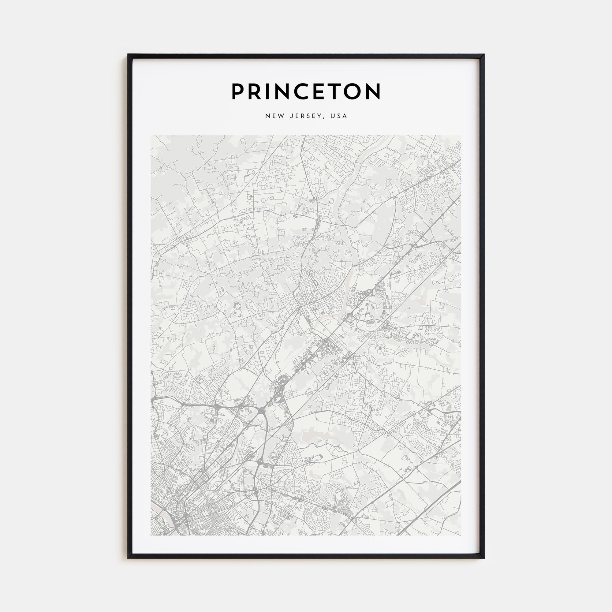 Princeton Map Portrait Poster
