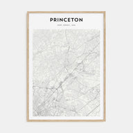 Princeton Map Portrait Poster