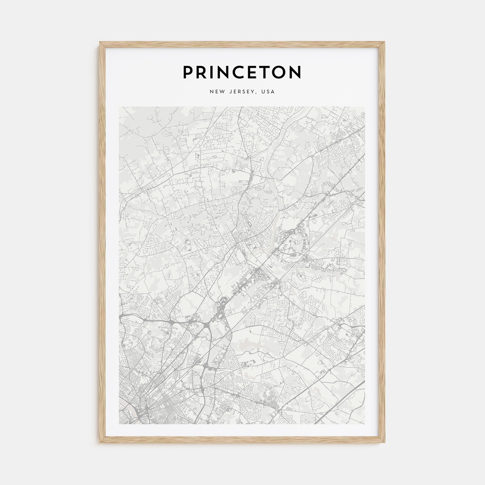 Princeton Map Portrait Poster