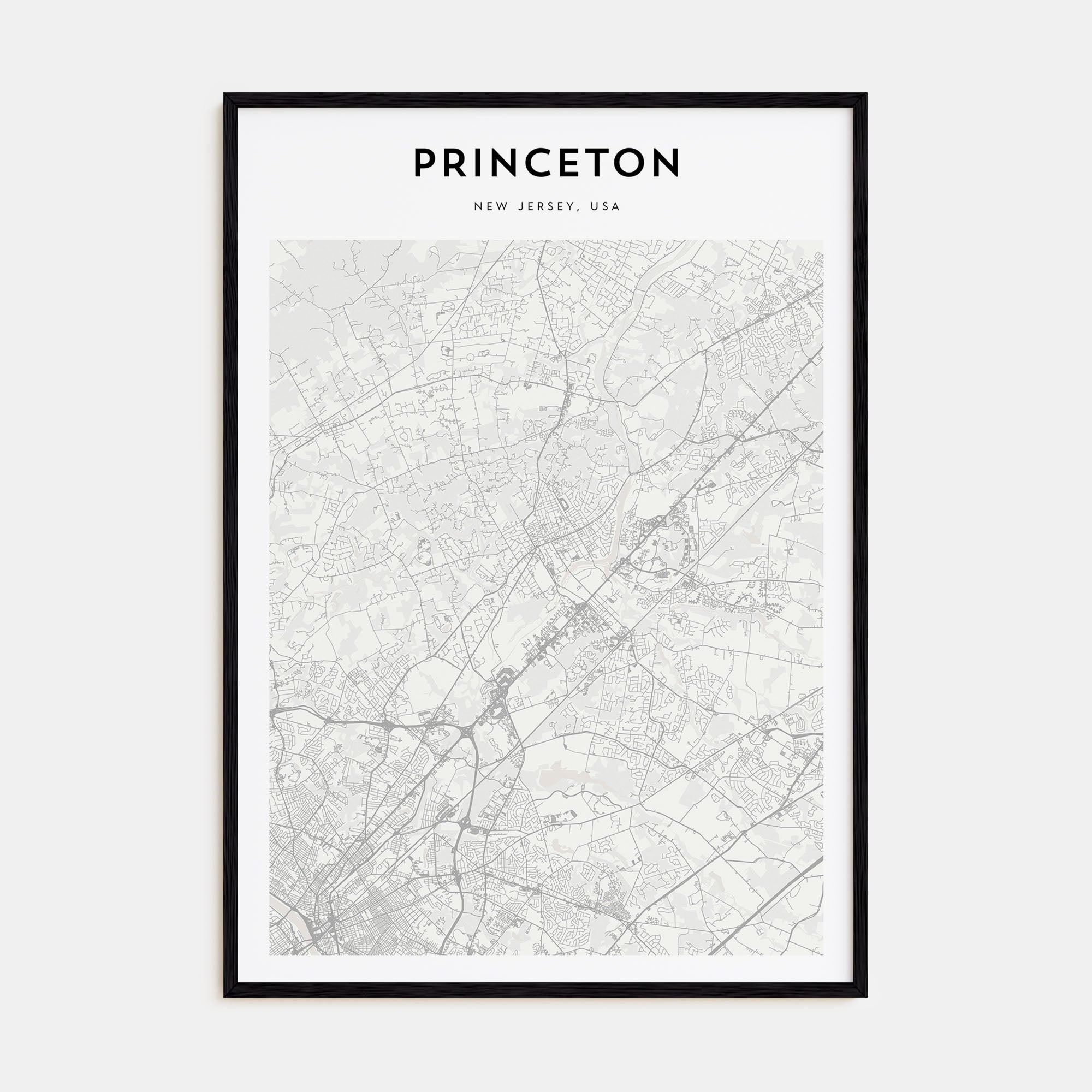 Princeton Map Portrait Poster
