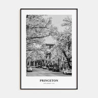 Princeton Portrait B&W Poster