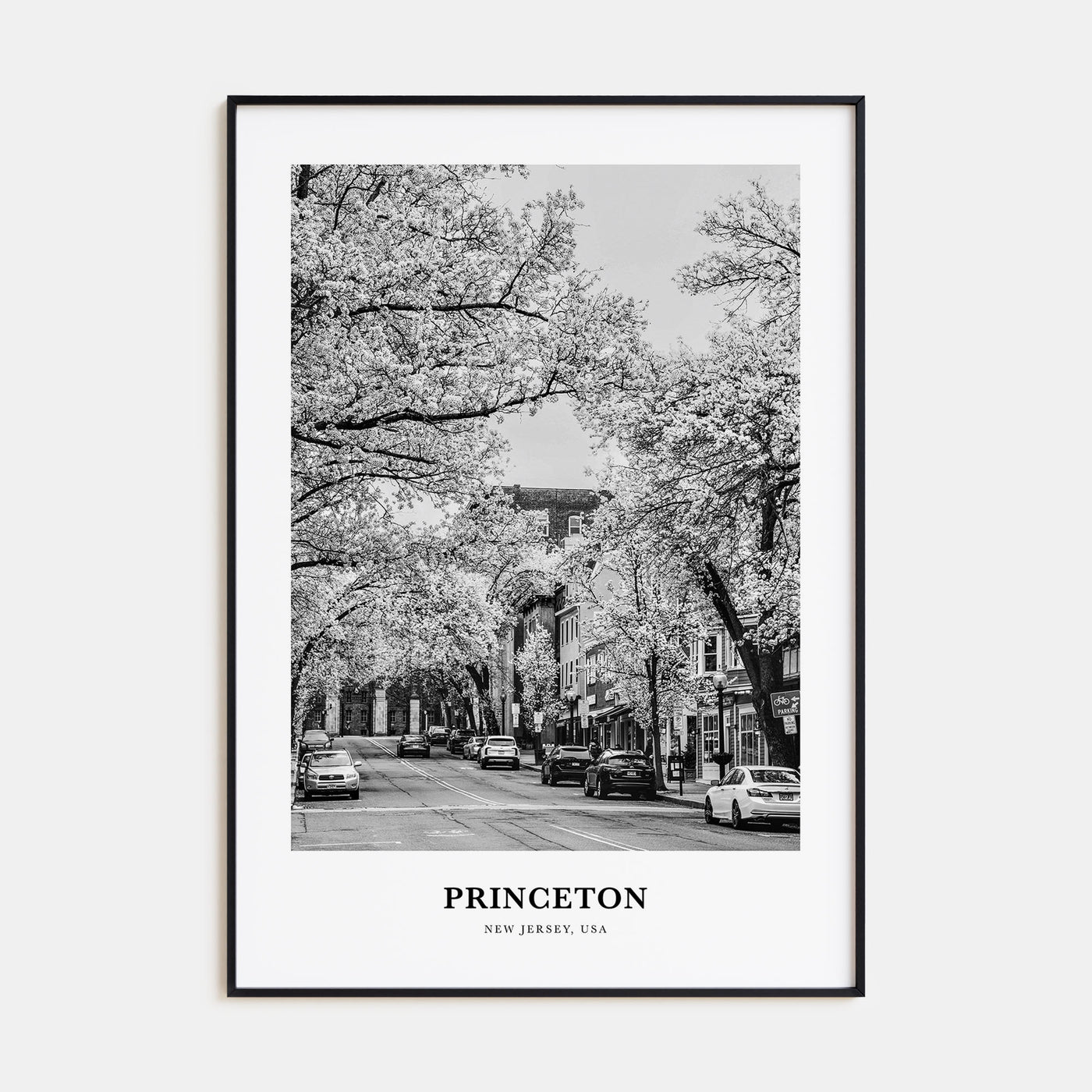 Princeton Portrait B&W Poster