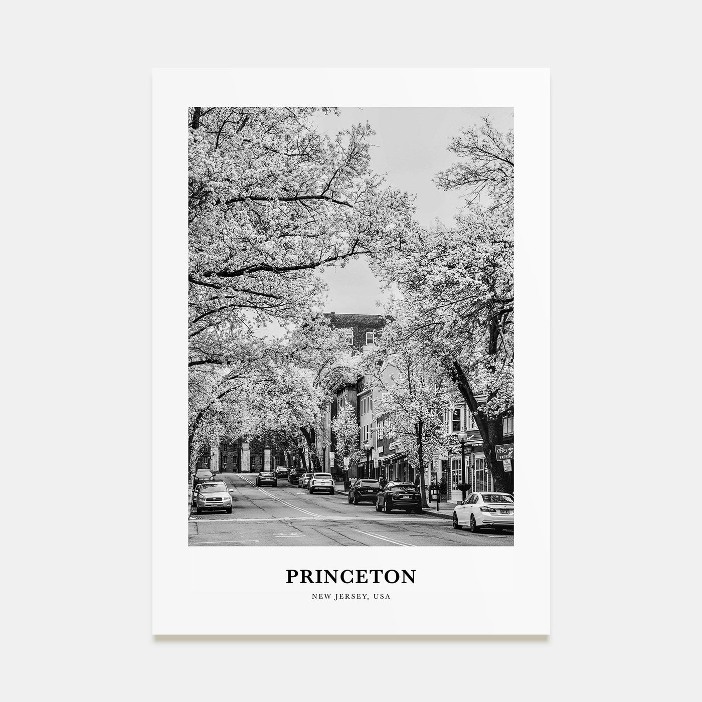 Princeton Portrait B&W Poster