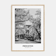 Princeton Portrait B&W Poster