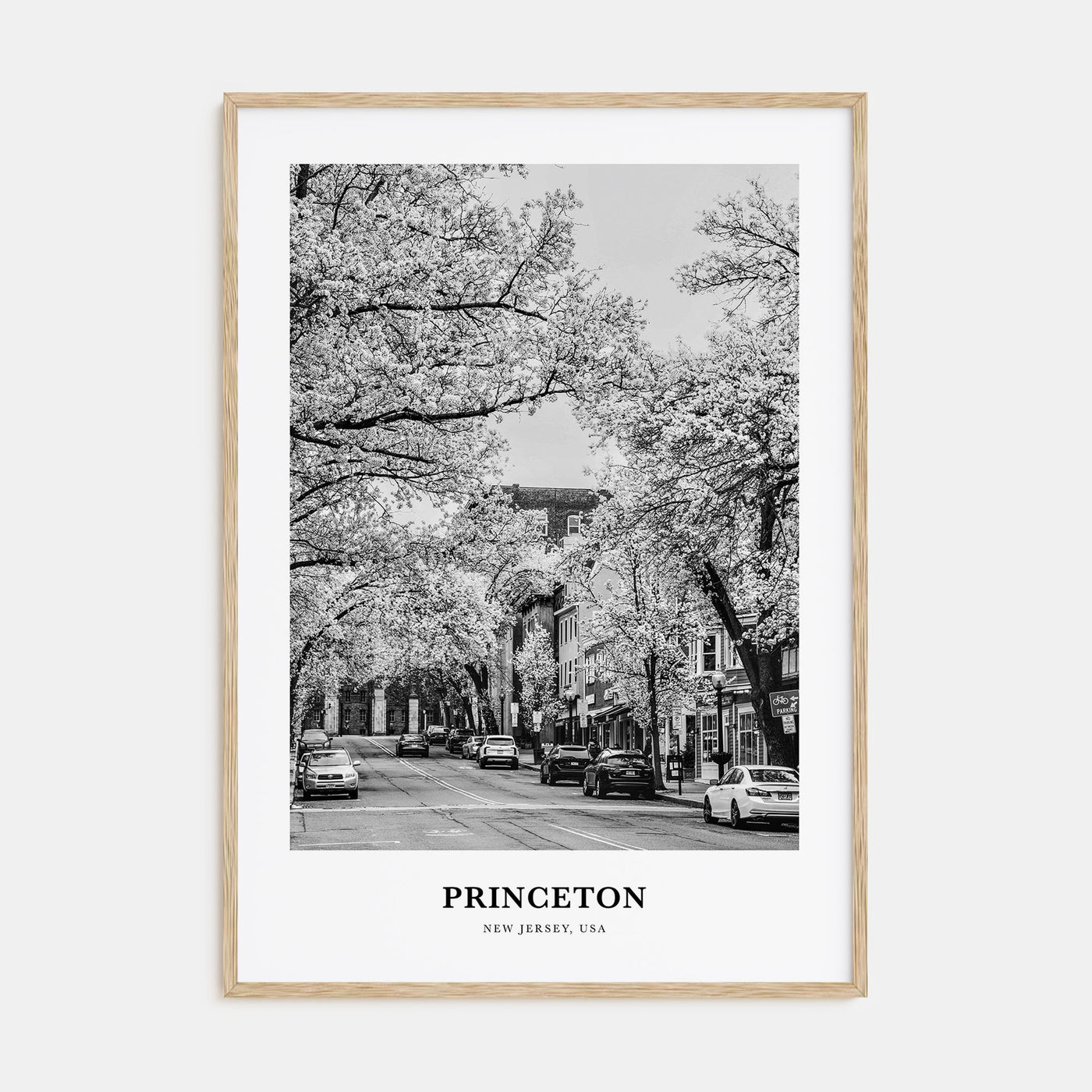 Princeton Portrait B&W Poster