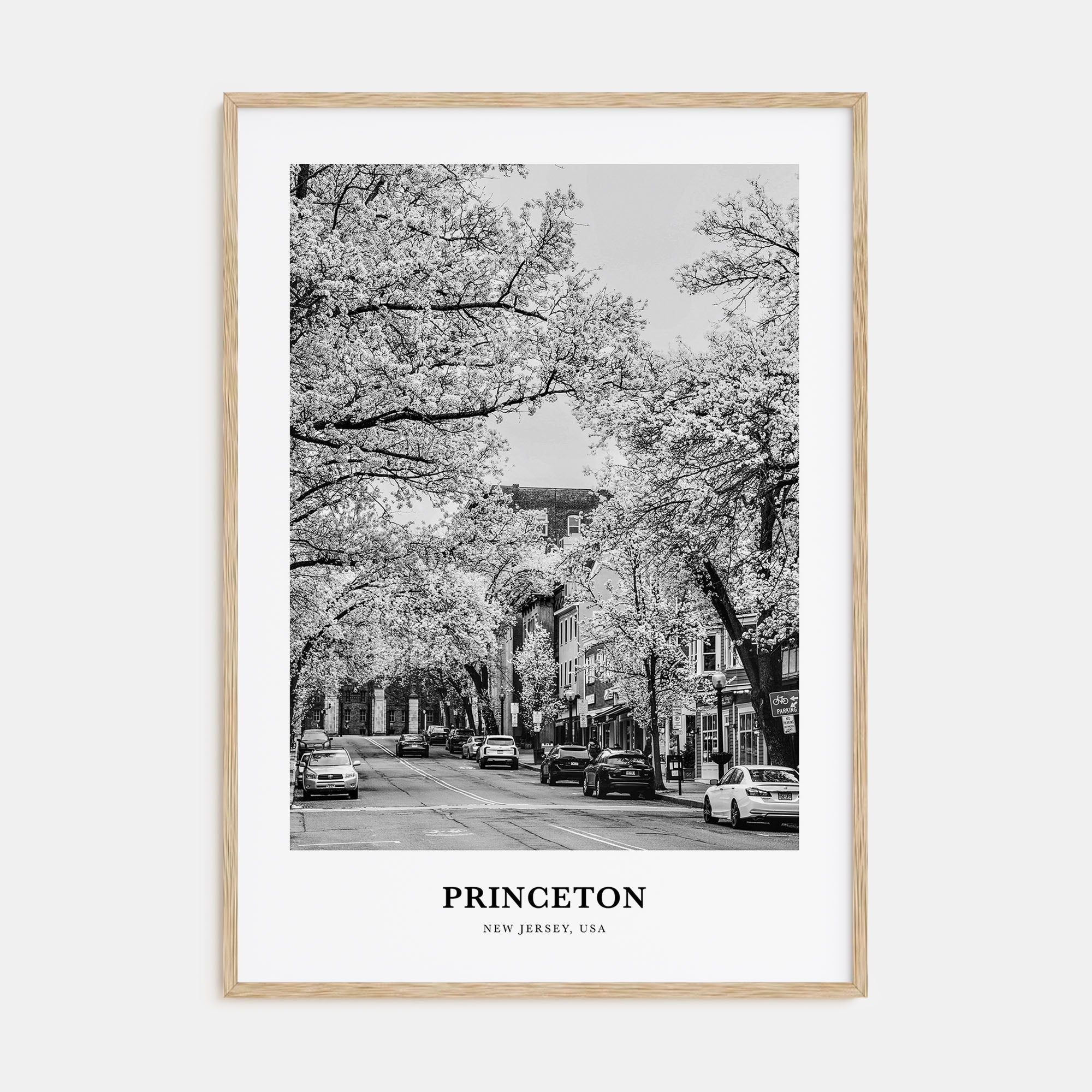 Princeton Portrait B&W Poster