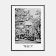 Princeton Portrait B&W Poster