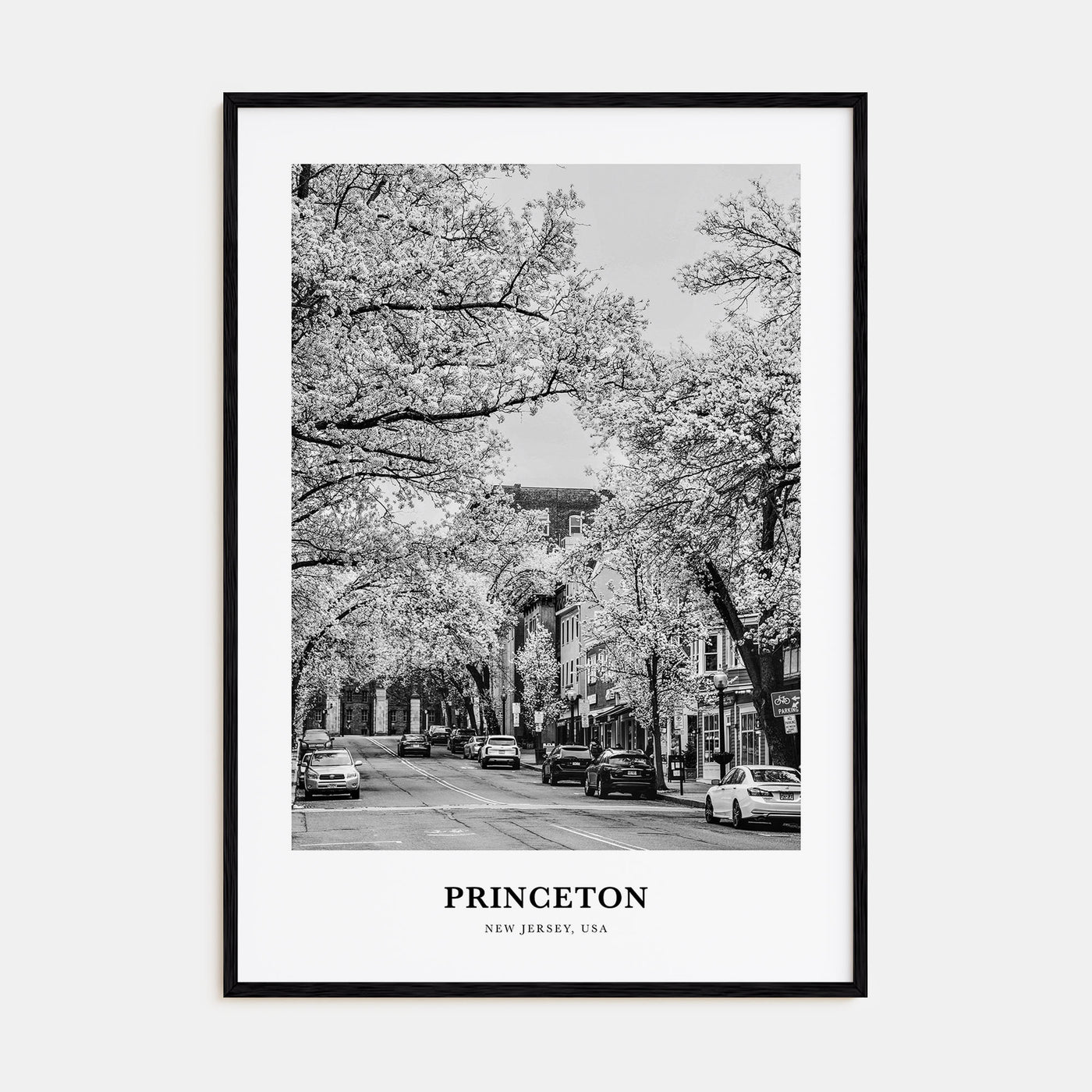 Princeton Portrait B&W Poster