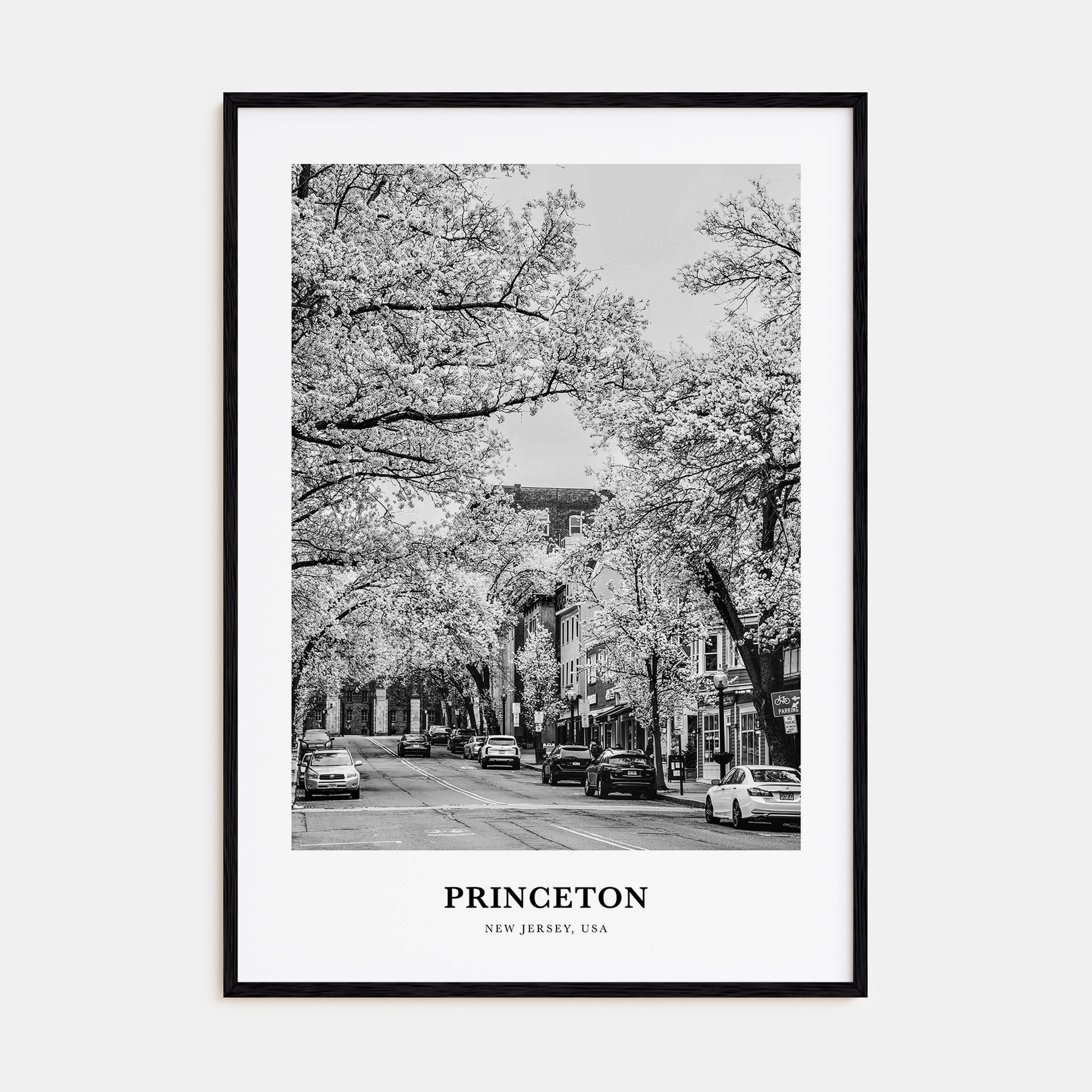 Princeton Portrait B&W Poster