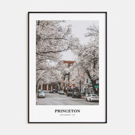 Princeton Portrait Color Poster