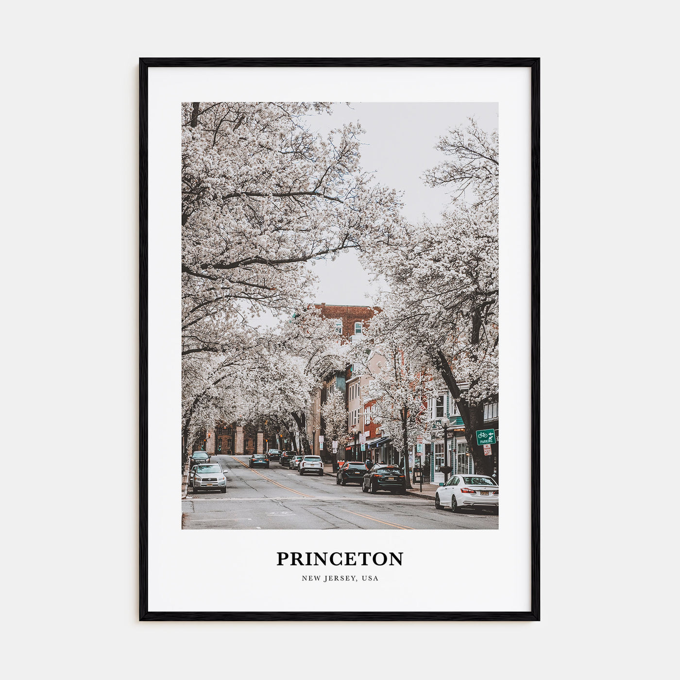 Princeton Portrait Color Poster