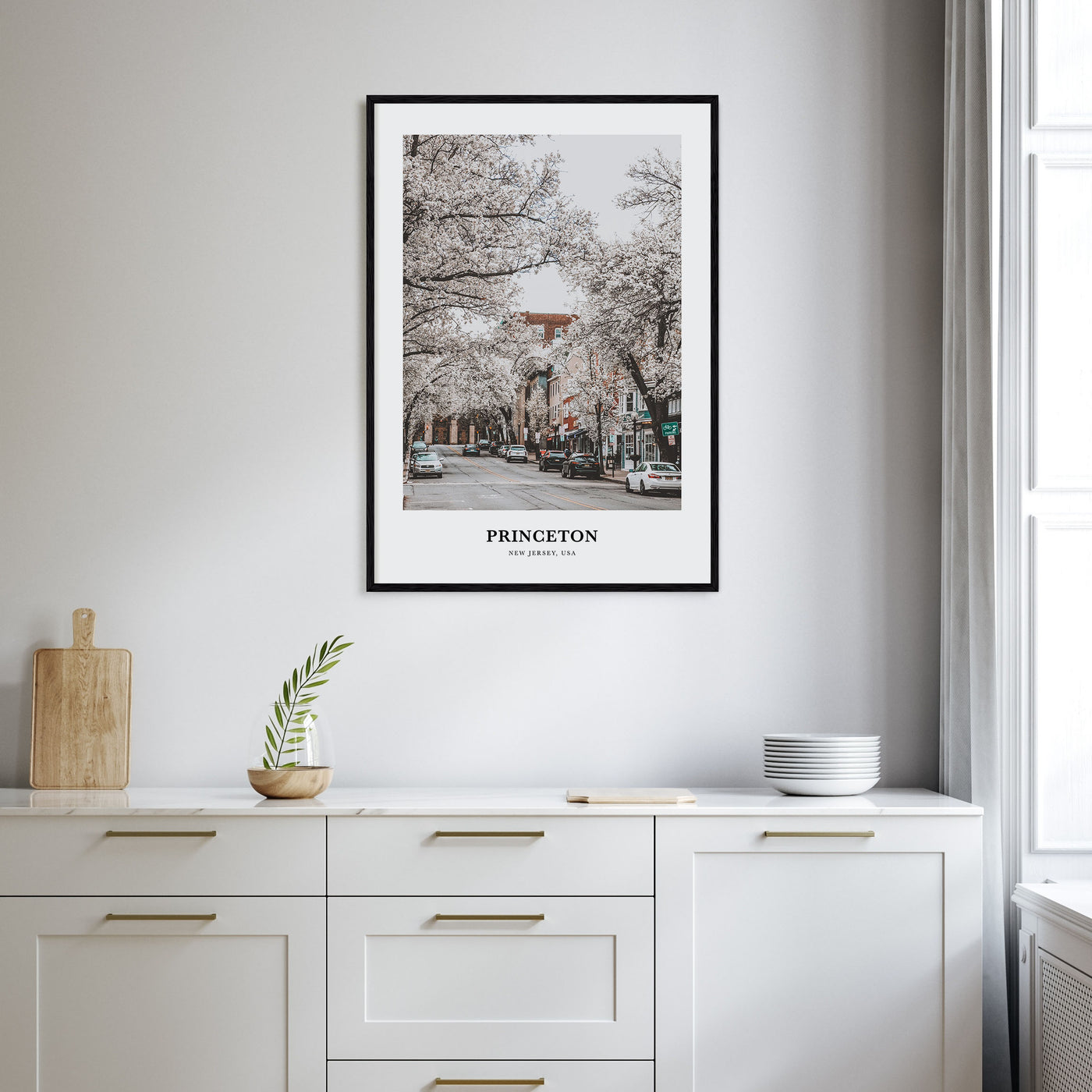 Princeton Portrait Color Poster