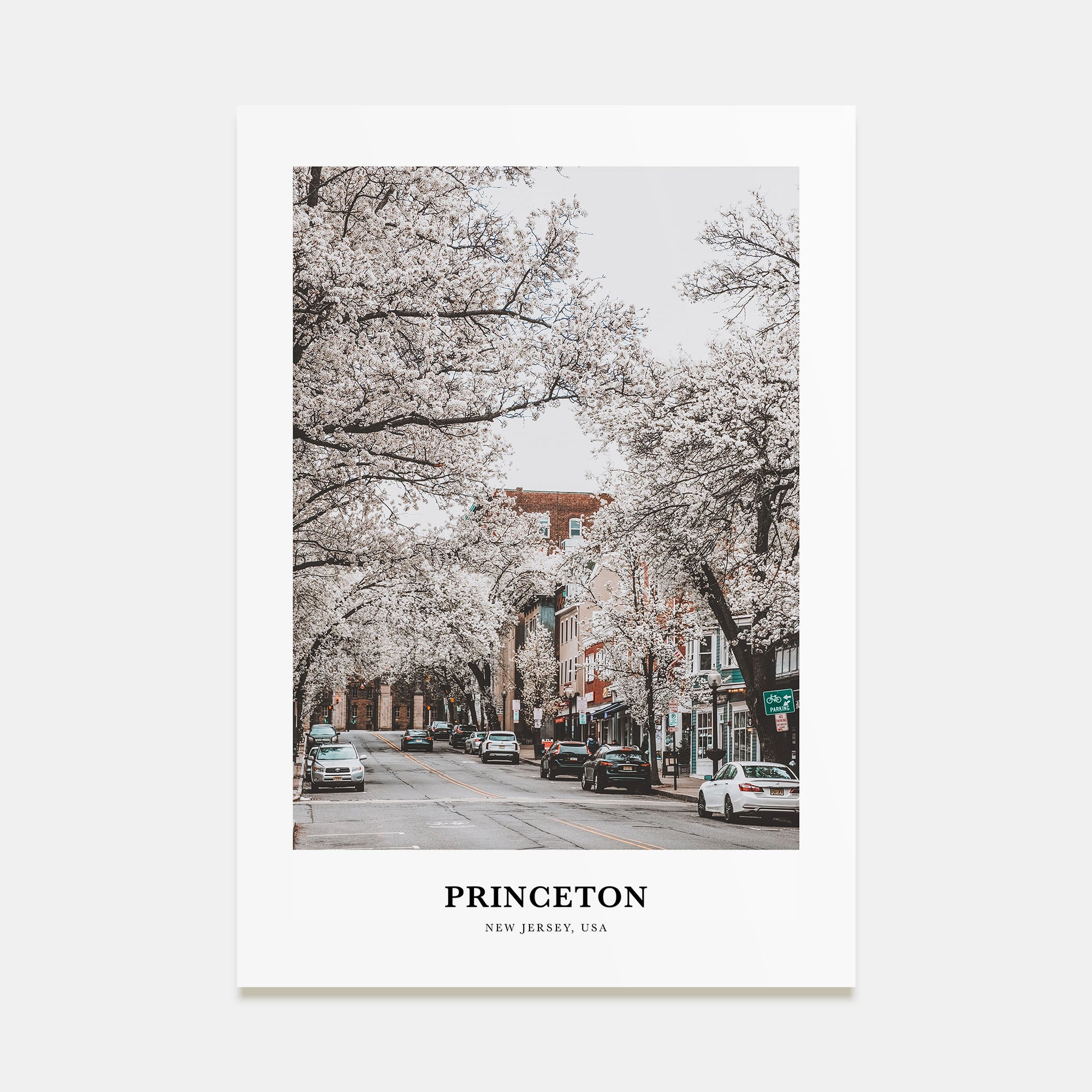 Princeton Portrait Color Poster