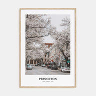 Princeton Portrait Color Poster