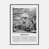 Princeton Travel B&W Poster