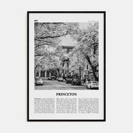 Princeton Travel B&W Poster