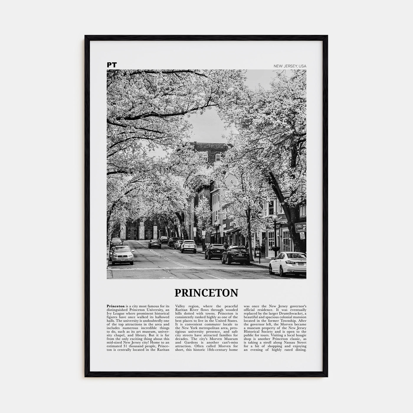 Princeton Travel B&W Poster