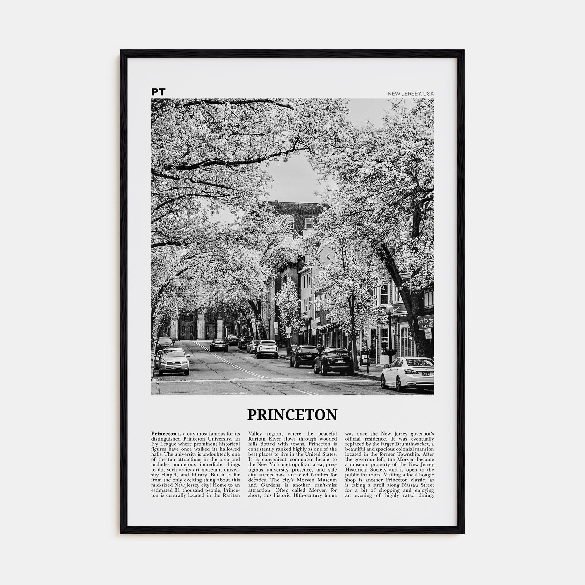 Princeton Travel B&W Poster