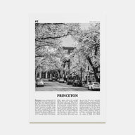 Princeton Travel B&W Poster