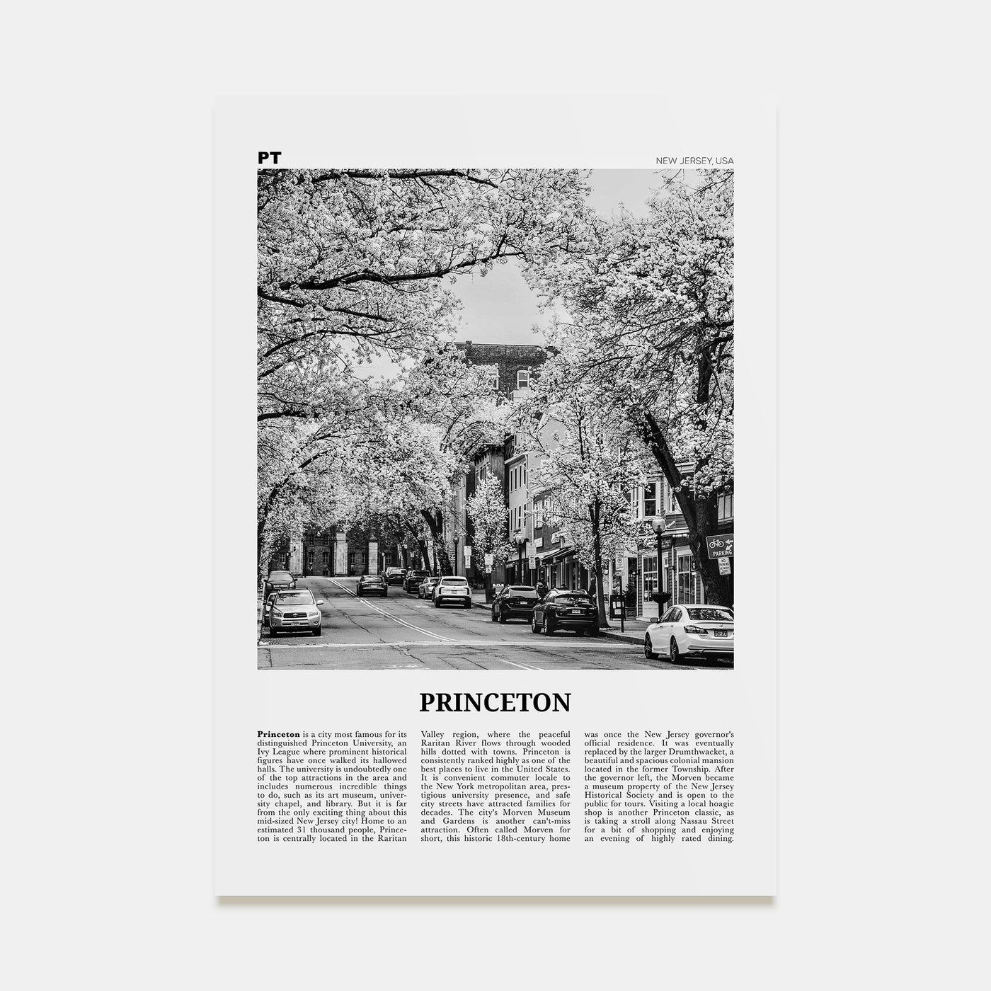 Princeton Travel B&W Poster