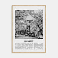 Princeton Travel B&W Poster